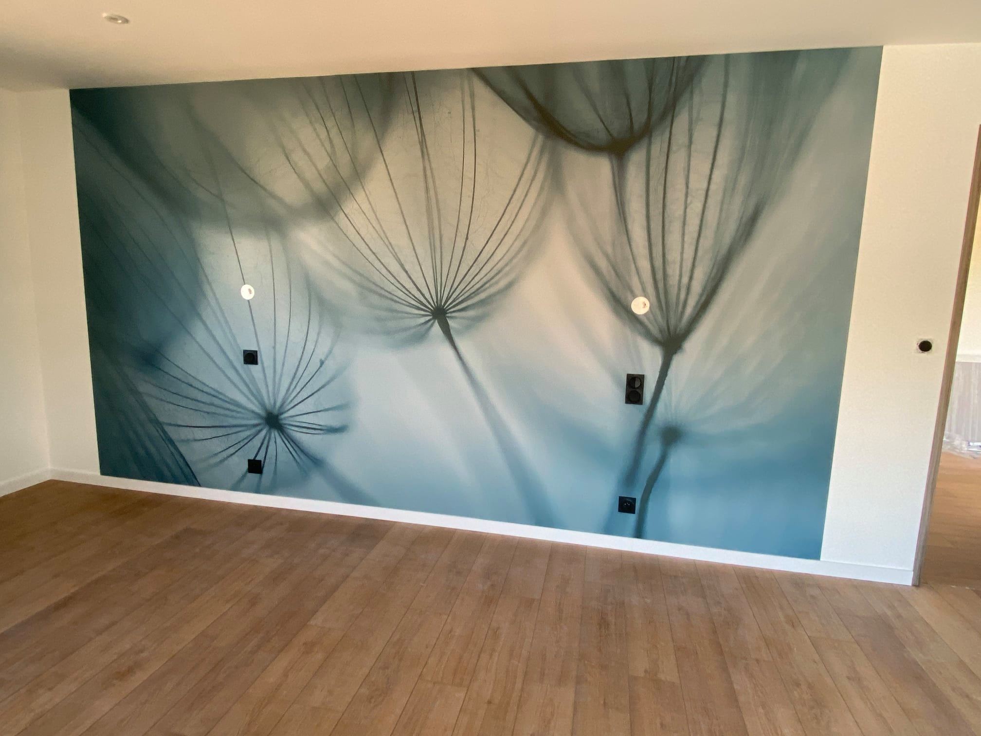 Décor mural panoramique peint